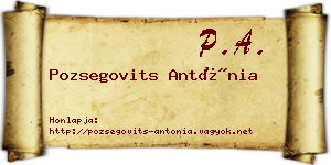 Pozsegovits Antónia névjegykártya
